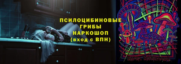 ешки Нефтегорск