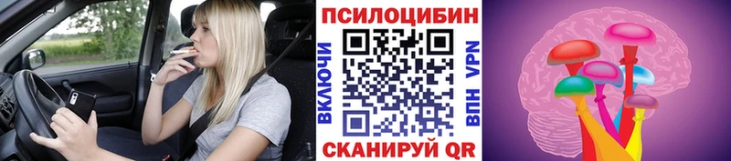 Купить  Керчь  Псилоцибиновые грибы Magic Shrooms 